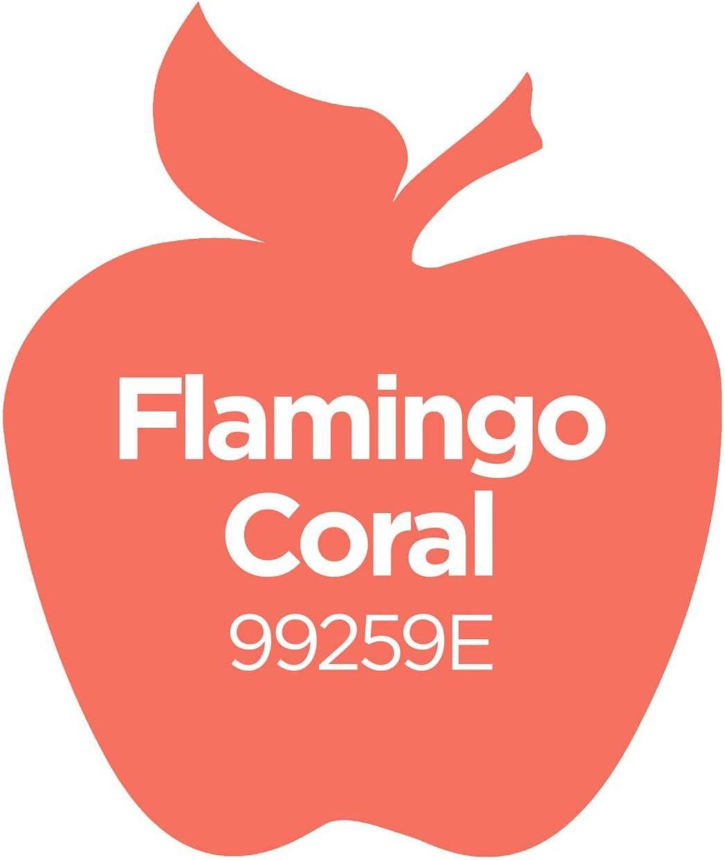 imageApple Barrel Acrylic Paint in Assorted Colors 2 Ounce 20504 BlackFlamingo Coral