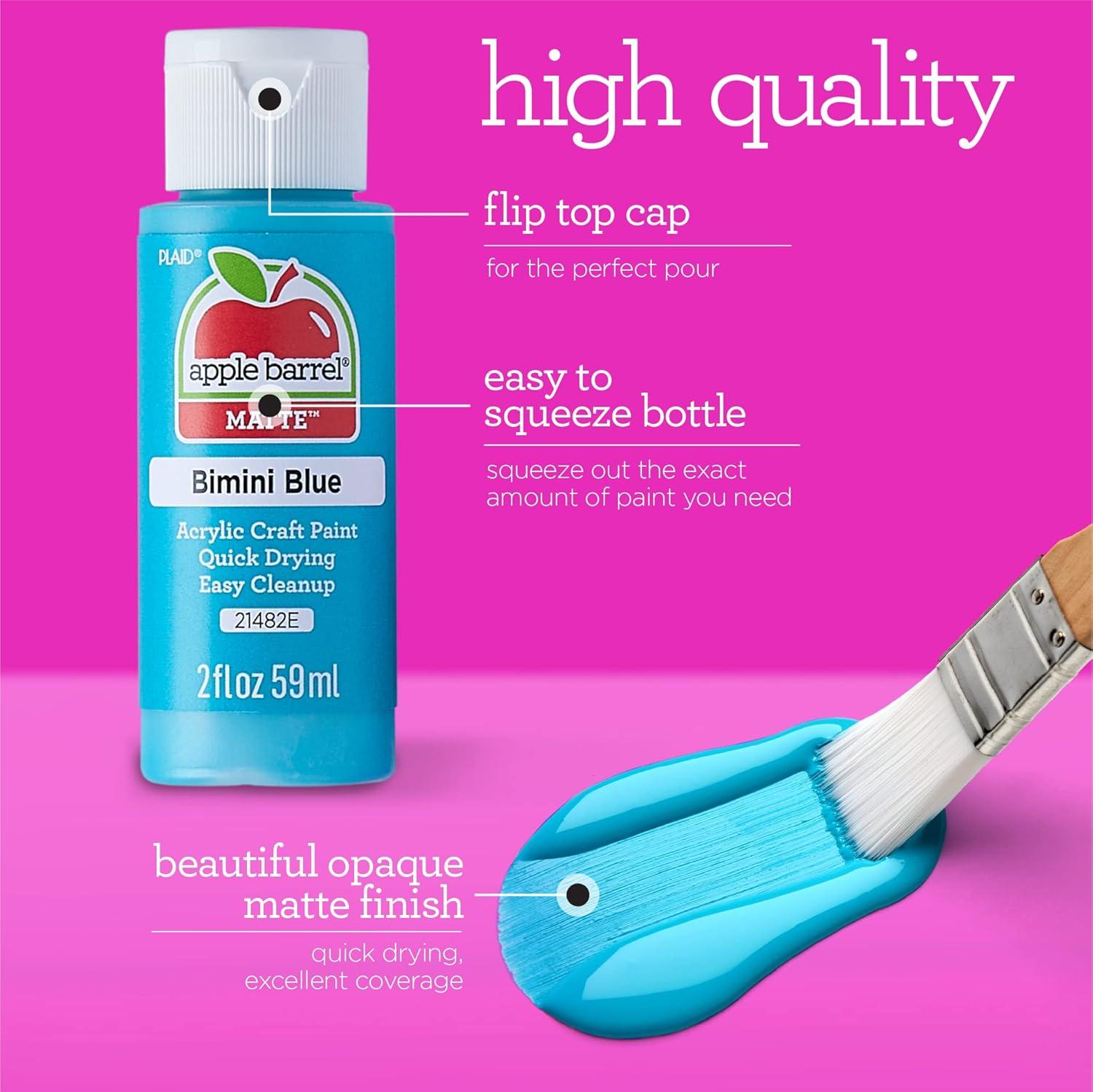imageApple Barrel Acrylic Paint in Assorted Colors 2 Ounce 20504 BlackFlamingo Coral