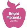 imageApple Barrel Acrylic Paint in Assorted Colors 2 Ounce 20504 BlackBright Magenta