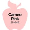 imageApple Barrel Acrylic Paint in Assorted Colors 2 Ounce 20504 BlackCameo Pink