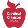 imageApple Barrel Acrylic Paint in Assorted Colors 2 Ounce 20504 BlackCardinal Crimson