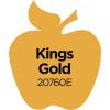 imageApple Barrel Acrylic Paint in Assorted Colors 2 Ounce 20504 BlackKings Gold