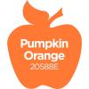 imageApple Barrel Acrylic Paint in Assorted Colors 2 Ounce 20504 BlackPumpkin Orange