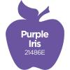 imageApple Barrel Acrylic Paint in Assorted Colors 2 Ounce 20504 BlackPurple Iris