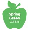 imageApple Barrel Acrylic Paint in Assorted Colors 2 Ounce 20504 BlackSpring Green