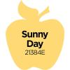 imageApple Barrel Acrylic Paint in Assorted Colors 2 Ounce 20504 BlackSunny Day