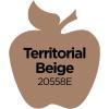 imageApple Barrel Acrylic Paint in Assorted Colors 2 Ounce 20504 BlackTerritorial Beige