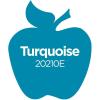 imageApple Barrel Acrylic Paint in Assorted Colors 2 Ounce 20504 BlackTurquoise
