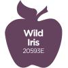 imageApple Barrel Acrylic Paint in Assorted Colors 2 Ounce 20504 BlackWild Iris