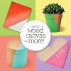 imageApple Barrel Pastel Dreams ampamp Vivid Wonders Collection Acrylic Craft Paint PROMOTCK 2 fl oz each 18 assorted matte colors 18 count