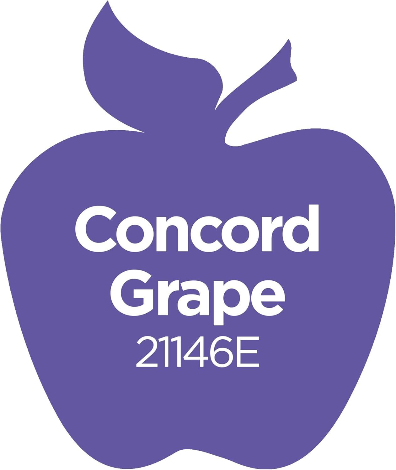 imageApple Barrel Acrylic Paint in Assorted Colors 16 Ounce 21136 Kelly GreenConcord Grape