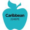 imageApple Barrel Acrylic Paint in Assorted Colors 16 Ounce 21136 Kelly GreenCaribbean