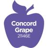 imageApple Barrel Acrylic Paint in Assorted Colors 16 Ounce 21136 Kelly GreenConcord Grape