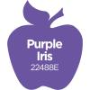 imageApple Barrel Acrylic Paint in Assorted Colors 16 Ounce 21136 Kelly GreenPurple Iris