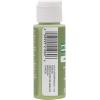 imageApple Barrel Multi Surface Acrylic Paint 2 oz Princess Purple 2 Fl OzTropical Foliage