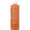 imageApple Barrel MultiSurface Paint in Assorted Colors 8 oz Primary BlueOutrageous Orange