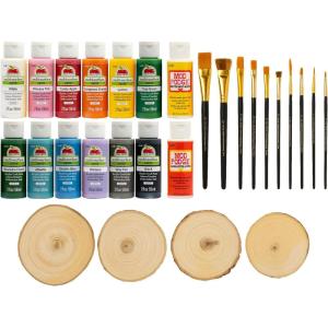 imageApple Barrel PROMOABWR22 DIY Craft Featuring 12 Paints 2 Mod Podge Acrylic Sealers 4 Wood Rounds and 10 Brushes 28 Piece Set Multi