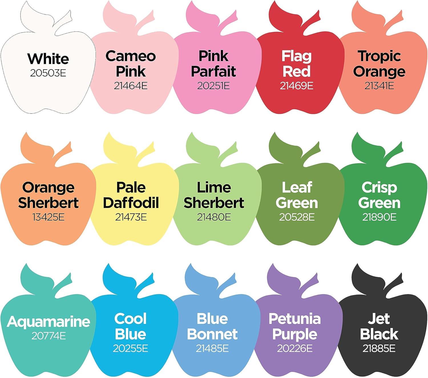 imageApple Barrel Fall Colors Kit 16 Piece Set Includes 15 Acrylic Craft Paints and 1 Mod Podge Gloss 96426Spring Colors